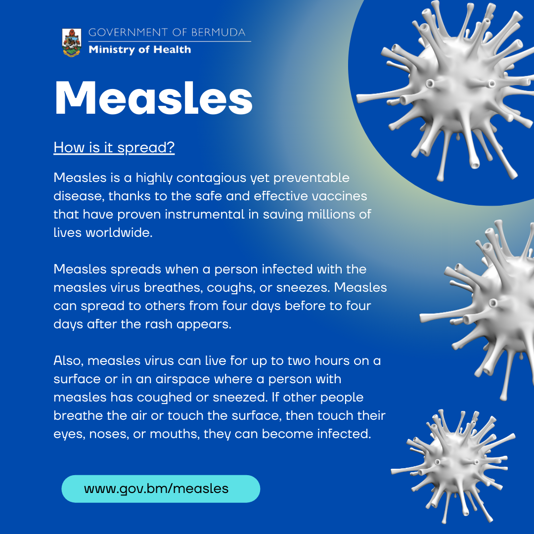 Measles Infographic