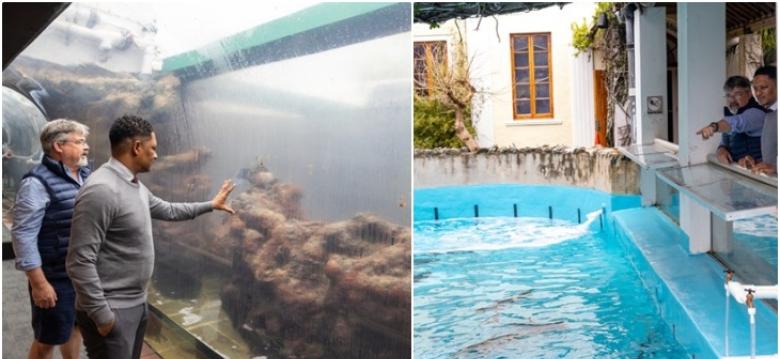 BAMZ Ongoing Tranformation