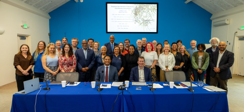 Hamilton_II_Declaration